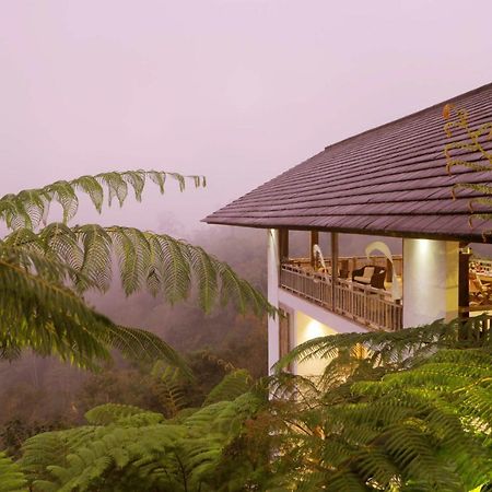 The Bejalin Eco Retreat Ξενοδοχείο Plaga Εξωτερικό φωτογραφία